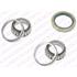 SNR Rear Wheel Bearing Kit   R15237