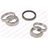 SNR Front Wheel Bearing Kit   R15342