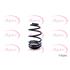 APEC Rear Coil Spring (Single Unit)   ACS1244