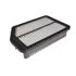 Blue Print Air Filter   ADG022115
