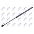 NTY Gas Spring (single) AE PL 005