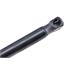 NTY Gas Spring (single) AE PL 005
