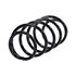 NTY Front Coil Spring (Single Unit)   ASZ PL 043