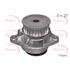 APEC Water Pump   AWP1027