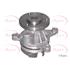 APEC Water Pump   AWP1200
