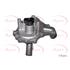 APEC Water Pump   AWP1206