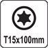 TORX SCREWDRIVER T15x100MM