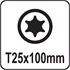 TORX SCREWDRIVER T25x100MM