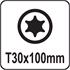 TORX SCREWDRIVER T30x100MM