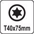 SCREWDRIVER BIT TORX T40x75MM S2