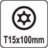 TORX SECURITY SCREWDRIVER T15x100MM