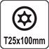 TORX SECURITY SCREWDRIVER T25x100MM
