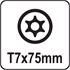TORX SECURITY SCREWDRIVER T7x75MM