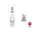 NGK Spark Plug (single)   2668
