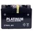 Platinum Motorcycle MF AGM Battery 12V   4Ah   45CCA