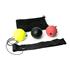 Reflex Boxing Balls Training Set