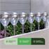 Crown Solar Stake Lights   Pack of 6