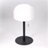 Cordless Rechargable Table Lamp   Dawn