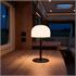 Cordless Rechargable Table Lamp   Dawn