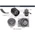 Hutchinson Timing Belt Kit with Water Pump   K431WP79