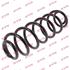 KYB Rear Coil Spring (Single Unit)   RA6241