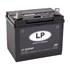 Landport R300MF Battery for Lawn Mowers and Garden Machinery, 12V, 24Ah, 300CCA