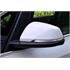 Left Wing Mirror (electric, heated, indicator and puddle lamp, primed cover) for BMW 2 Series Gran Tourer, 2015 200