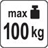 VACUUM CUP 204 MM WITH FLAT PAD /100 KG