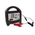Battery Charger 6A   12V   LED Automatic