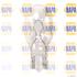 NAPA 12V W16W Single Bulb for Mini Coupe, 2011 2015