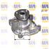 NAPA Water Pump   NWP1041