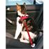 Cat Car Seat Belt and Harness   Adjustable Size