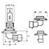 Main Beam Headlight for Bmw 5 Series Saloon 1996   2001