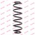 KYB Rear Coil Spring (Single Unit)   RA6143