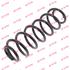 KYB Rear Coil Spring (Single Unit)   RA6143