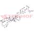 Steinhof Towbar (fixed with 2 bolts) for Peugeot EXPERT Box, 2016 Onwards