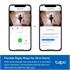 TP Link Smart Video Doorbell Camera Kit