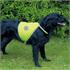 Dog Hi Vis Safety Waistcoat   Small Dogs (30 60cm)