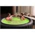 MSpa Aurora Urban Hot Tub   6 Bathers