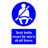 Castle Promotions Indoor Vinyl Sticker   Seatbelt Must Be Worn At All Times