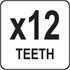 RAKE 12 TEETH W. HANDLE