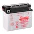 Yuasa Motorcycle Battery   YuMicron Y50 N18A A 12V Battery, Dry Charged, Contains 1 Battery, Acid Not Included