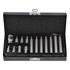 SCREWDRIVER BIT SET /HEX/ 15PCS