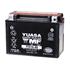 Yuasa Motorcycle Battery   YT Maintenance Free YTX15L BS 12V Battery, Combi Pack, Contains 1 Battery and 1 Acid Pack
